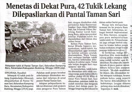 Menetas di Dekat Pura, 42 Tukik Lekang Dilepasliarkan di Pantai Taman Sari